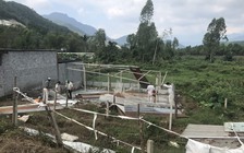 Phá dỡ nhà trái phép chờ đền bù trên tuyến đường hàng trăm tỉ đồng