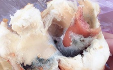 Kiểm tra cửa hàng bị tố bán bánh mì nổi mốc, phạt 27,5 triệu đồng