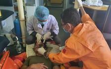 Cứu nạn ngư dân bị dây neo đánh trúng mặt, hôn mê