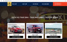 Đà Nẵng: Ngăn chặn các trang web mạo danh thương hiệu taxi