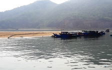 Tàu mắc cạn, gãy bánh lái vì cảng cá bị bồi lắng