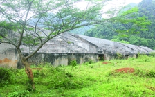 Sân vận động thành bãi thả trâu bò