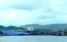 Di dời nhà máy tuyển than gây ô nhiễm vịnh Hạ Long