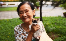 Bà già 'đệ nhị' nuôi hàng trăm con mèo hoang khiến người Sài thành cảm phục