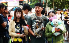 [ẢNH] 'Ngất ngây' trước hàng trăm chó cảnh trong 'Lễ hội cún cưng Sài Gòn'