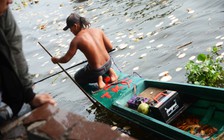 Chờ sẵn người thả cá đưa ông Táo, tung lưới bắt lại 'không cho' nhà Táo về trời