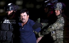 Dẫn độ trùm ma túy El Chapo sang Mỹ sẽ mất 1 năm