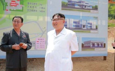 Triều Tiên khởi động nhà máy kim chi ‘ngon nhất thế giới’