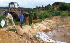 Bị phạt 10 triệu đồng vì chở thuê 133 kg thịt heo rừng