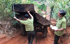 Kon Tum quyết liệt truy quét các điểm nóng phá rừng