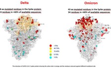 Công bố hình ảnh đầu tiên về Omicron cho thấy 43 đột biến, hơn gấp đôi Delta