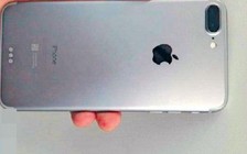 Thêm bằng chứng iPhone 7 có camera kép, bộ nhớ 256 GB