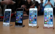 Tại sao Apple cho ra đời iPhone SE?