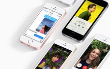 Apple 'đặt' Samsung sản xuất 100 triệu tấm nền màn hình OLED trong năm 2017