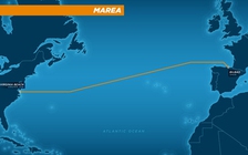 Microsoft bắt tay Facebook xây dựng tuyến cáp xuyên Đại Tây Dương