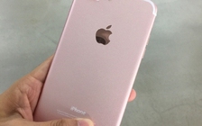 Rò rỉ hình ảnh iPhone 7 Plus màu hồng
