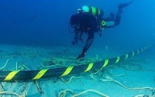 Cáp quang biển AAG bảo trì, internet quốc tế lại chậm