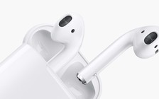 Mổ xẻ tai nghe AirPods: không thể sửa chữa và tái chế