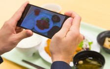 Ứng dụng giúp tính lượng calo trong bữa ăn