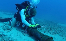 Nhà mạng lên kế hoạch giảm thiểu sự cố đứt cáp quang AAG