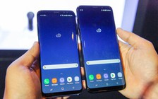 Samsung phát hành bản vá lỗi màn hình đỏ dành cho Galaxy S8