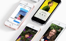 Lô hàng iPhone SE sản xuất tại Ấn Độ đầu tiên đã được vận chuyển