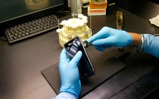 Vertu ngừng sản xuất ở Anh vì không thể thanh toán khoản nợ 165 triệu USD