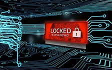 Nạn nhân mã độc tống tiền mất hơn 25 triệu USD trong 2 năm