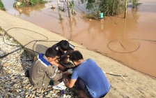 AAG lùi ngày sửa chữa vì bão số 10, FPT Telecom bị sự cố trên diện rộng