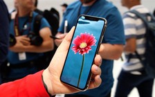 iPhone X có thể nhận được 50 triệu đơn đặt mua