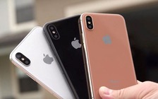 iPhone X có thể bị trì hoãn phát hành từ 2-3 tháng