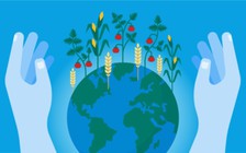 Google chống nạn đói toàn cầu