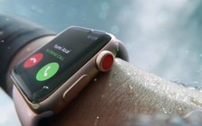 Apple Watch Series 3 giúp chủ nhân thoát khỏi cá mập