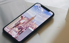 iPhone X chính thức được mở bán tại Việt Nam