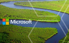 Microsoft chi 50 triệu USD bảo vệ môi trường toàn cầu