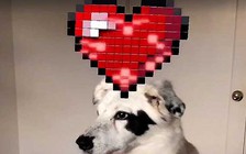 Facebook Messenger bổ sung công cụ World Effects đối đầu Snapchat