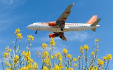 Google giúp theo dõi chuyến bay, giá vé máy bay và khách sạn