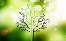 Ancestry.com rò rỉ dữ liệu trên 300.000 người dùng