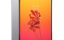 iPad Pro mới sắp phát hành với Face ID