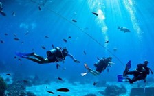 Cáp quang biển APG gặp sự cố, internet đi quốc tế chập chờn