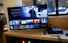 Netflix đầu tư 8 tỉ USD sản xuất khoảng 700 chương trình TV và phim năm nay