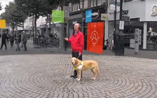 Ứng dụng giúp người khiếm thị điều hướng trong thành phố