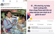 Cộng đồng mạng than vãn vì Facebook tự động 'crop' ảnh dạng vuông