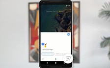 Google Lens có thể nhận biết thông tin thú cưng