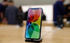Apple cần Samsung để sản xuất iPhone không 'tai thỏ'