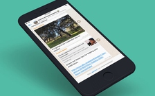 WhatsApp cho iOS cập nhật tính năng quản trị viên nhóm