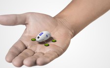 Rolls-Royce phát triển robot 'gián' bảo trì máy bay