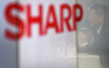 Sharp tham gia thị trường sản xuất màn hình OLED cho smartphone