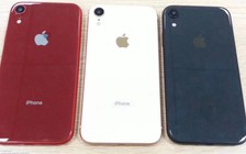 iPhone Xc màn hình 6,1 inch lộ ảnh, sở hữu 2 khe cắm SIM