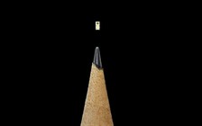 Không ai lường trước khả năng tấn công máy chủ bằng chip siêu vi